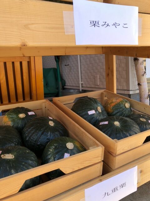 きららShopで扱っている小野寺農園さんのカボチャ